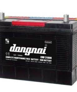 Ắc quy Đồng Nai CMF 31800 12V 100Ah